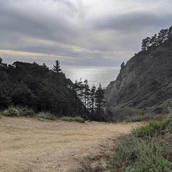 Meet your Posher, Dee Dubya - Picture 3 of 4